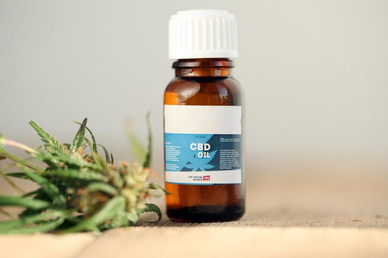 best cbd oil for pain